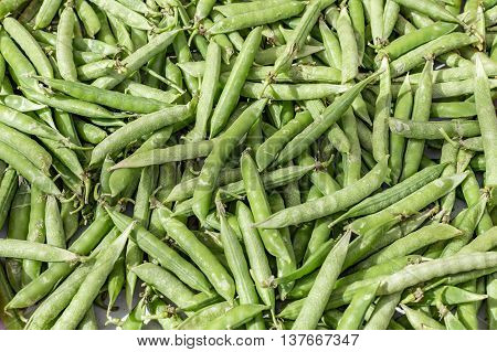 Pile of green peas on sale and display.