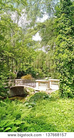 A bridge to nature in a peaceful park