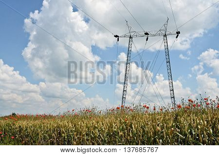 Power distribution, high voltage power pole in wheat field