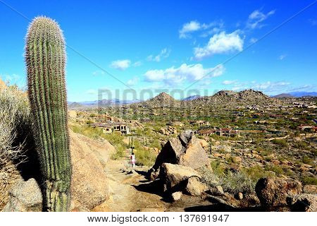 Pinnacle Peak Arizona Saguaro Cactus desert landscape