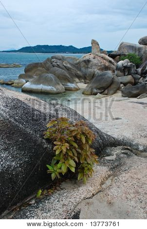Hinta Rock Ko Samui