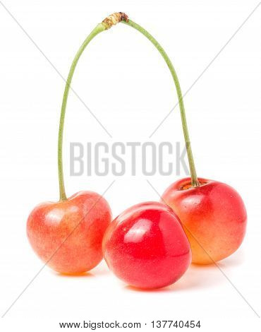 Three yellow cherry isolated on white background.