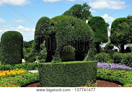 Portsmouth Rhode Island - July 16 2015: An immense topiary elephant made of English Privet and clipped trees at Green Animals Topiary Gardens