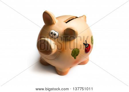 Pink Piggy Bank Isolated On White Background