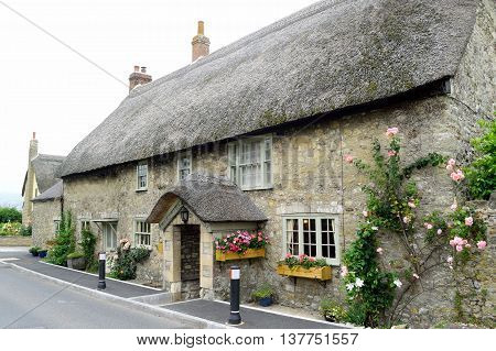 Beautiful old thatched cottage in Axmouth Devon
