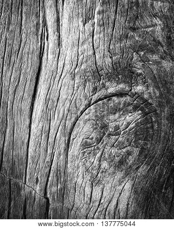 Black and White Wooden Background for pattern.