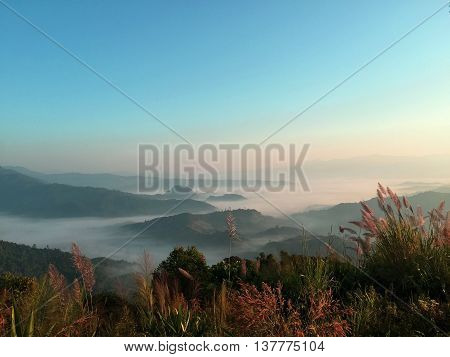 Sunrise Landscape on the mountain in the wonderful morning.