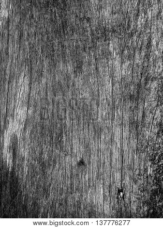 Black and White Wooden Background for pattern.