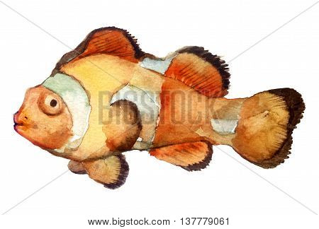 watercolor sketch: a fish on a white background