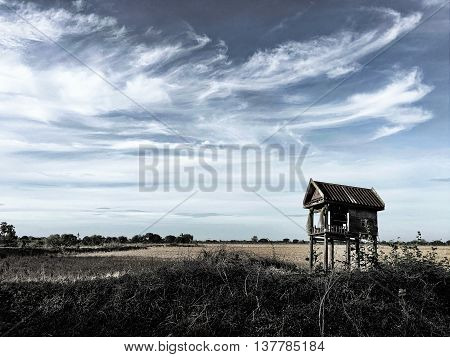 a landscape of a field farm vintage background farmland