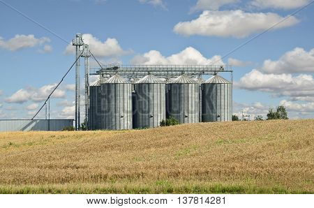 Wheat field and silos, farming in eastern Europe