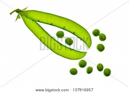 Open green pea pod and peas isolated on white background without shadows. Close-up. Top view. The empty pod of green peas.