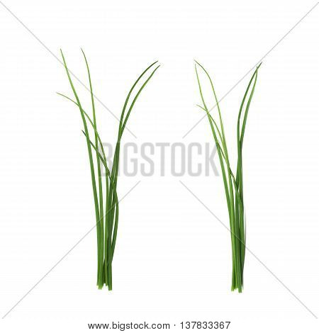 Green onion scallions isolated over the white background, set of two different foreshortenings