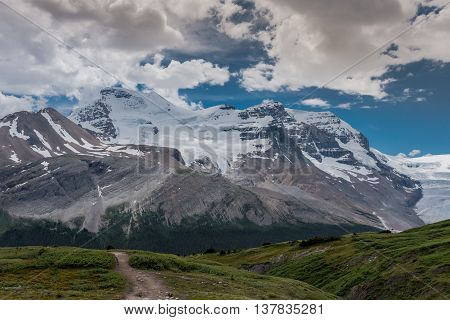 Snow Covered Mt Athabasca From the Wilcox Pass Trail