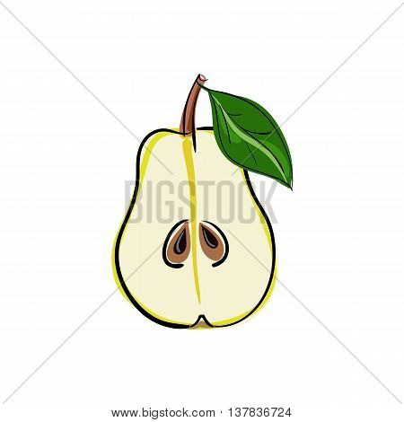 Pear fruit stock vector illustration. Green pear - cut half with seeds. Vector illustration