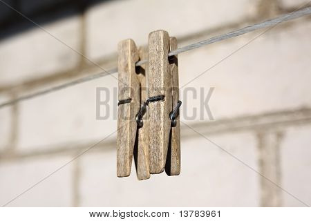 Oblečení piny