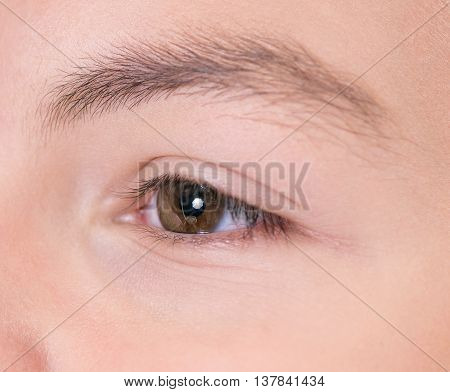 Close-up of boy with brown eyes looking somewhere