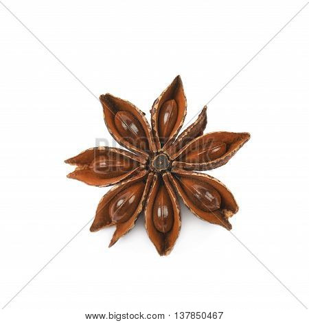 Single Chinese star anise seed isolated over the white background