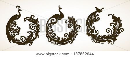 Vector set ornamental frames with decorative birds