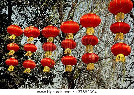 Jun Le China - January 25 2014 : A row of bright red Chinese Lunar New Year lanterns with golden tassles hang from trees at the entry to the town