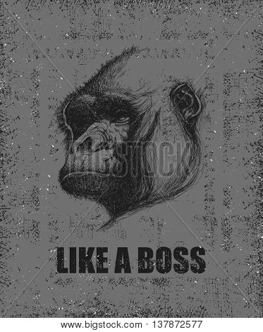 Monkey Face With Like A Boss Inscription Hand drawn Vector illustration.