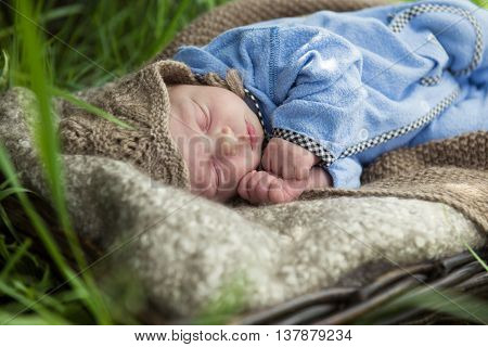 newborn baby in basket sleeping in the garden