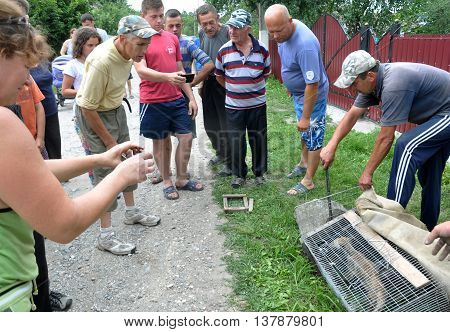Shmankivchyky - Ukraine - 29 June 2016. The villagers caught an unknown animal which is popularly called Chupacabra. This beast killed many rabbits and poultry.