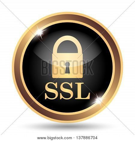 Ssl Icon