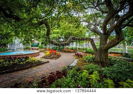 Gardens At Prescott Park, In Portsmouth, New Hampshire.