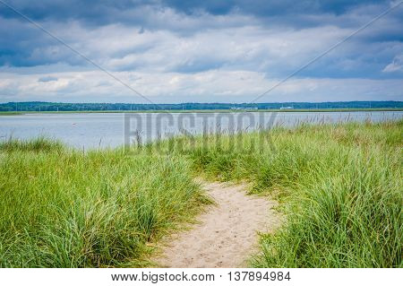 Grasses And Sandy Path At Hampton Beach, New Hampshire.