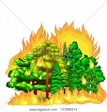 Forest Fire, fire in forest landscape damage, nature ecology disaster, hot burning trees, danger forest fire flame with smoke, blaze wood background vector illustration. Wildfire burning tree in red and orange color.