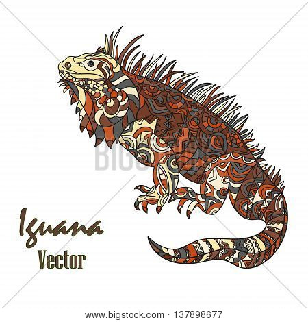 Vector hand drawn iguana. Ethnic tribal styled pattern. Zentagle style. Zentagle style.