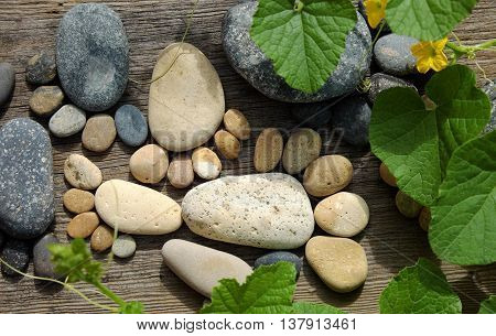 Abstract Cute Pebbles, Footprint From Boulder