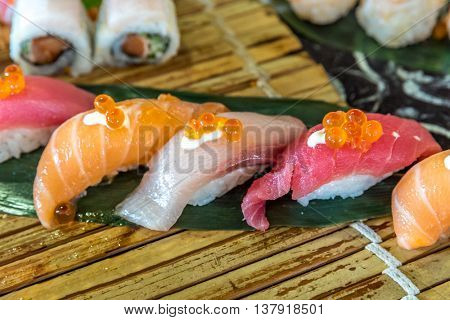 Sushi Salmon tuna and hamachi set