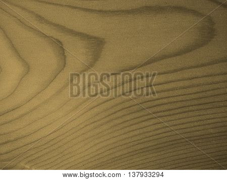 Larch Wood Background Sepia