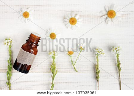 Natural herbal treatment. Essential oil, fresh herbs, chamomile flowers, top view light background. Focus on bottle.