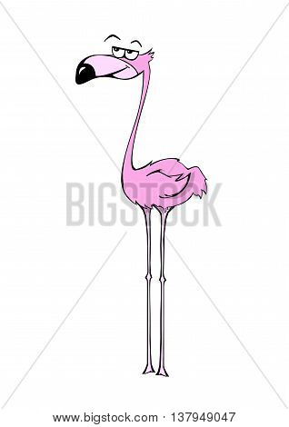 Pink cartoon flamingo on white background. Exotic bird