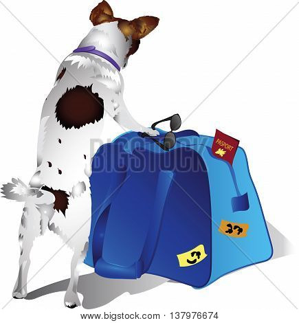 Vector drawing of a dog with Travel Bags