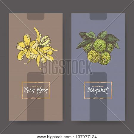 Set of two elegant labels with ylang-ylang and bergamot orange bouquet color sketch. Aromatherapy series. Great for traditional medicine, perfume design, cooking or gardening labels.