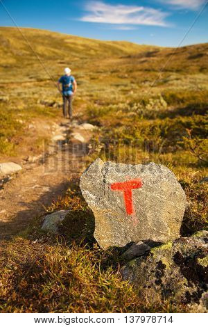 T sign on rock and hiker with backpack traveling in Norway mountains Dovre