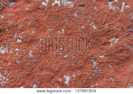 Rock in northern Sweden with red color because of the algae Trentepohlia iolitus