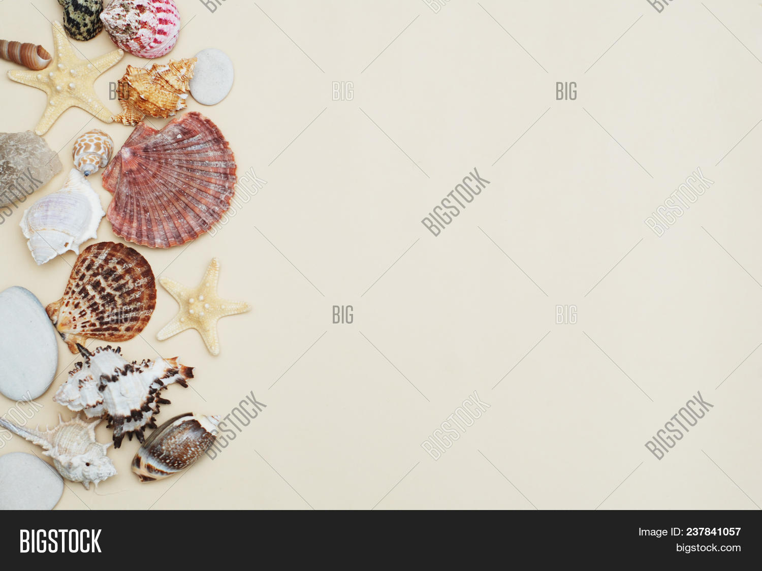 Shells Stones Over Image & Photo (Free Trial) | Bigstock