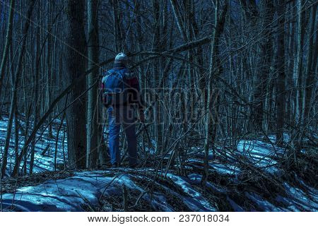 A Traveler In A Fantastic Night Forest Around Mysterious Trees And Delicate Branches Fascinating And