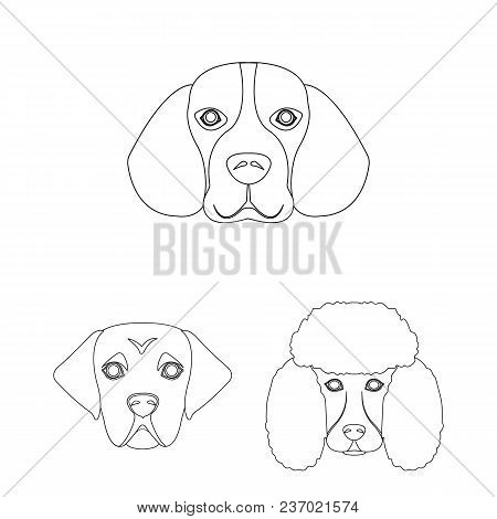 Dog Breeds Outline Icons In Set Collection For Design.muzzle Of A Dog Vector Symbol Stock  Illustrat