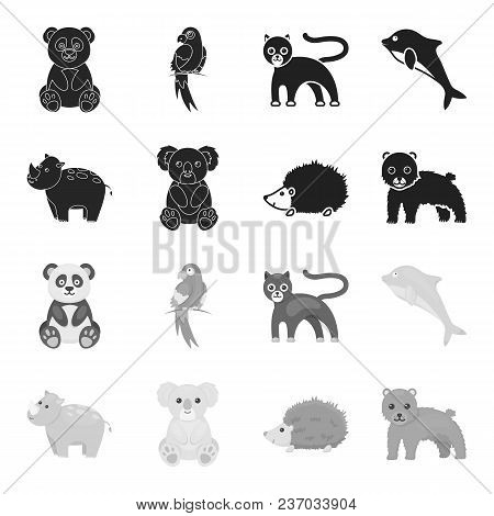 Rhino, Koala, Panther, Hedgehog.animal Set Collection Icons In Black, Monochrome Style Vector Symbol