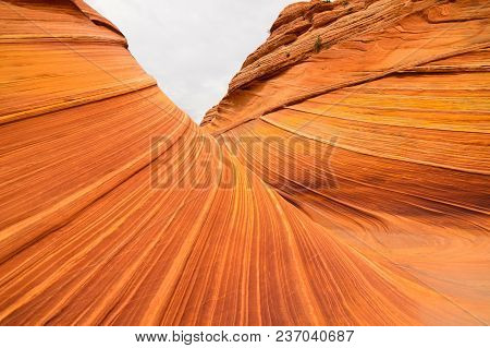Famous Rock Formation In Pariah Canyon - Arizona Wave. Vermilion Cliffs National Monument In Arizona