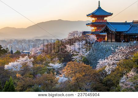 Sunset at Kiyomizu Dera temple during sakura cherry tree blossom, Kansai, Japan