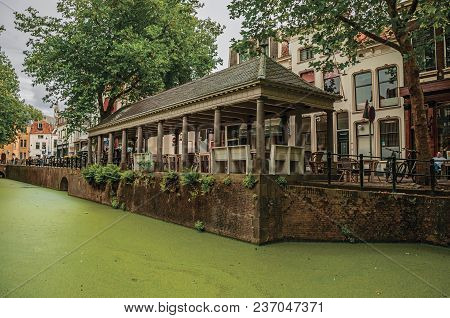 Gouda, Southern Netherlands - June 29, 2017. Walled Canal With Aquatic Greenish Plants, Trees And Bu