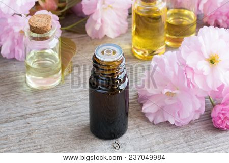 A Bottle Of Essential Oil With Pink Japanese Kwanzan Cherry Blossoms