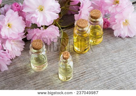 Bottles Of Essential Oil With Pink Japanese Kwanzan Cherry Blossoms